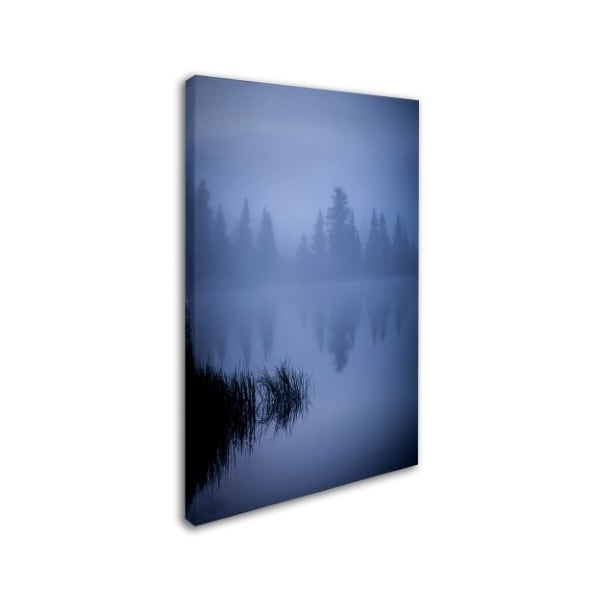 Dan Ballard 'Foggy Reflection' Canvas Art,22x32